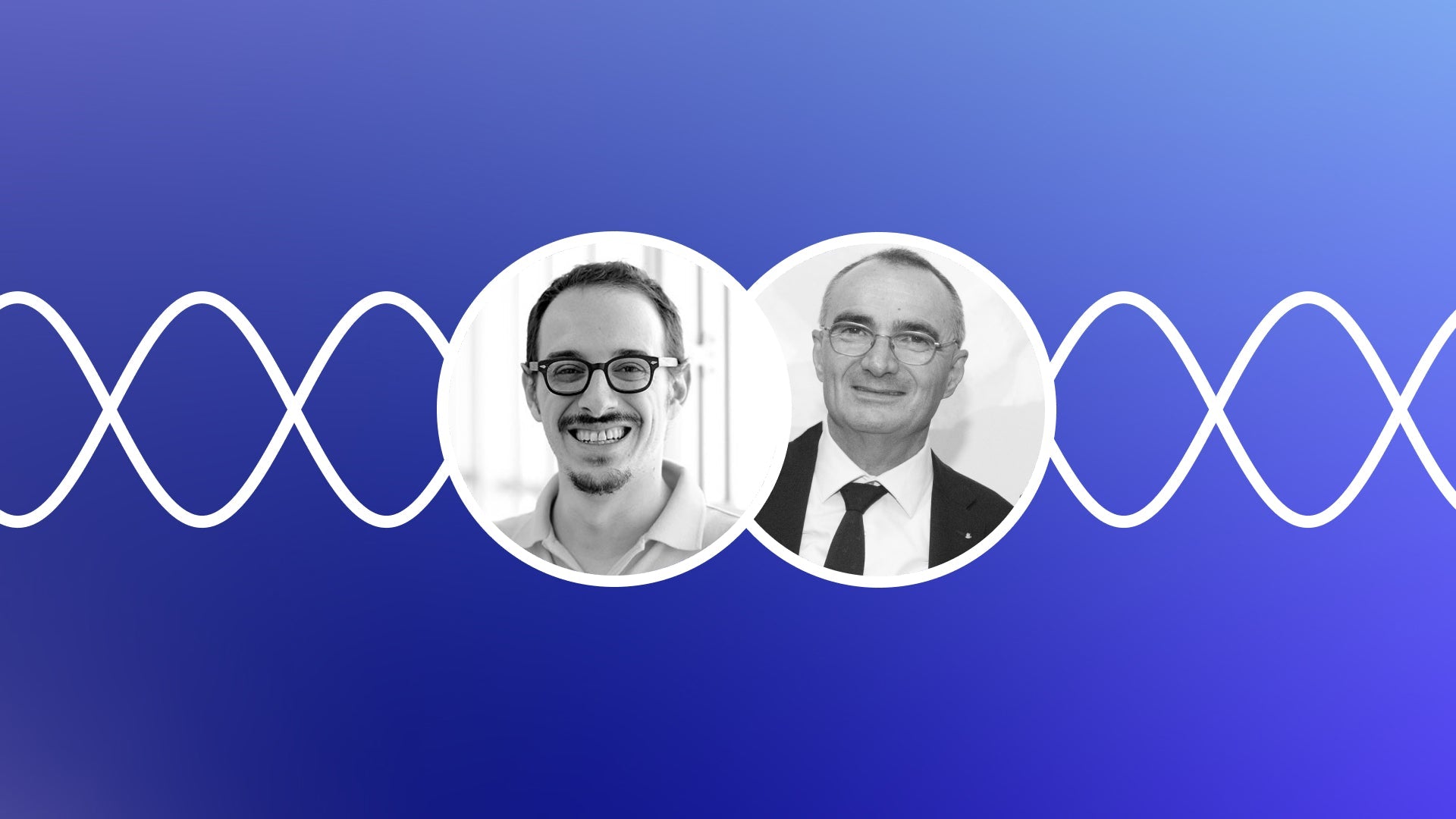 Com’è fatto un dente?